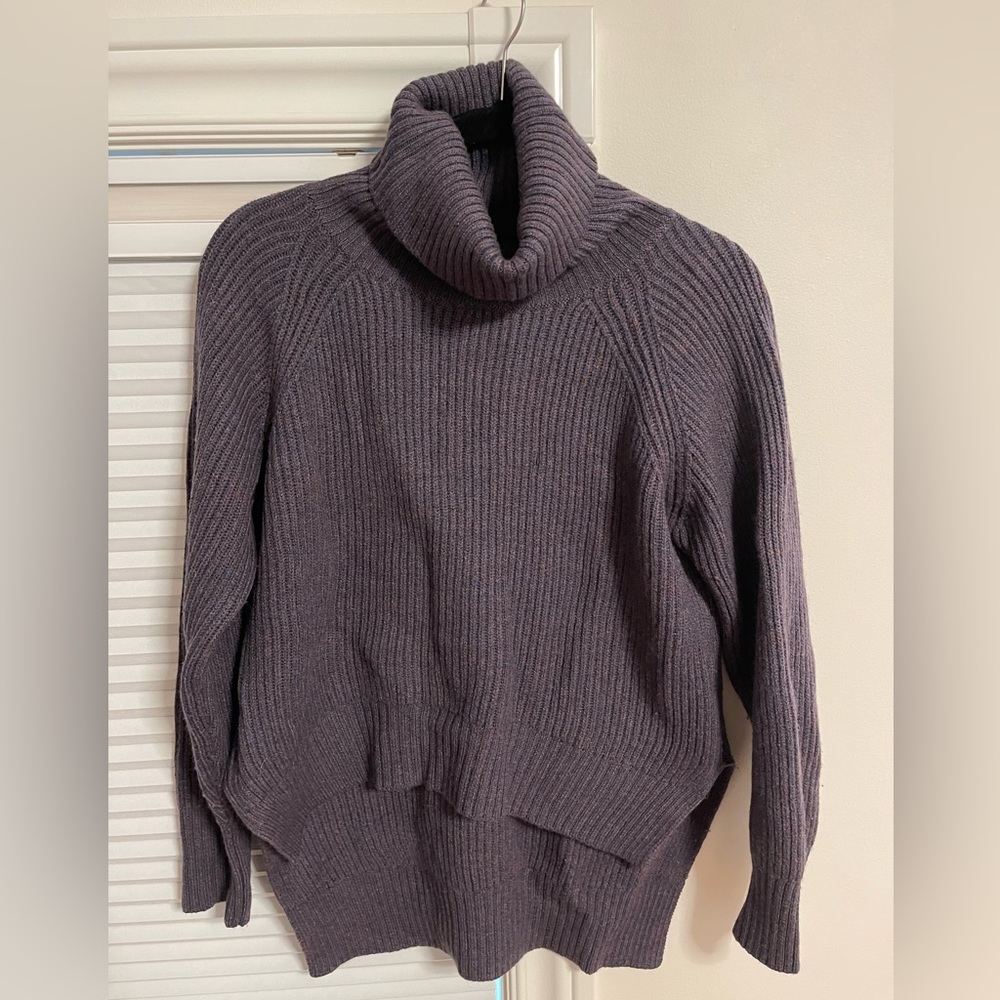 Aritzia Wilfred Cropped Turtleneck
